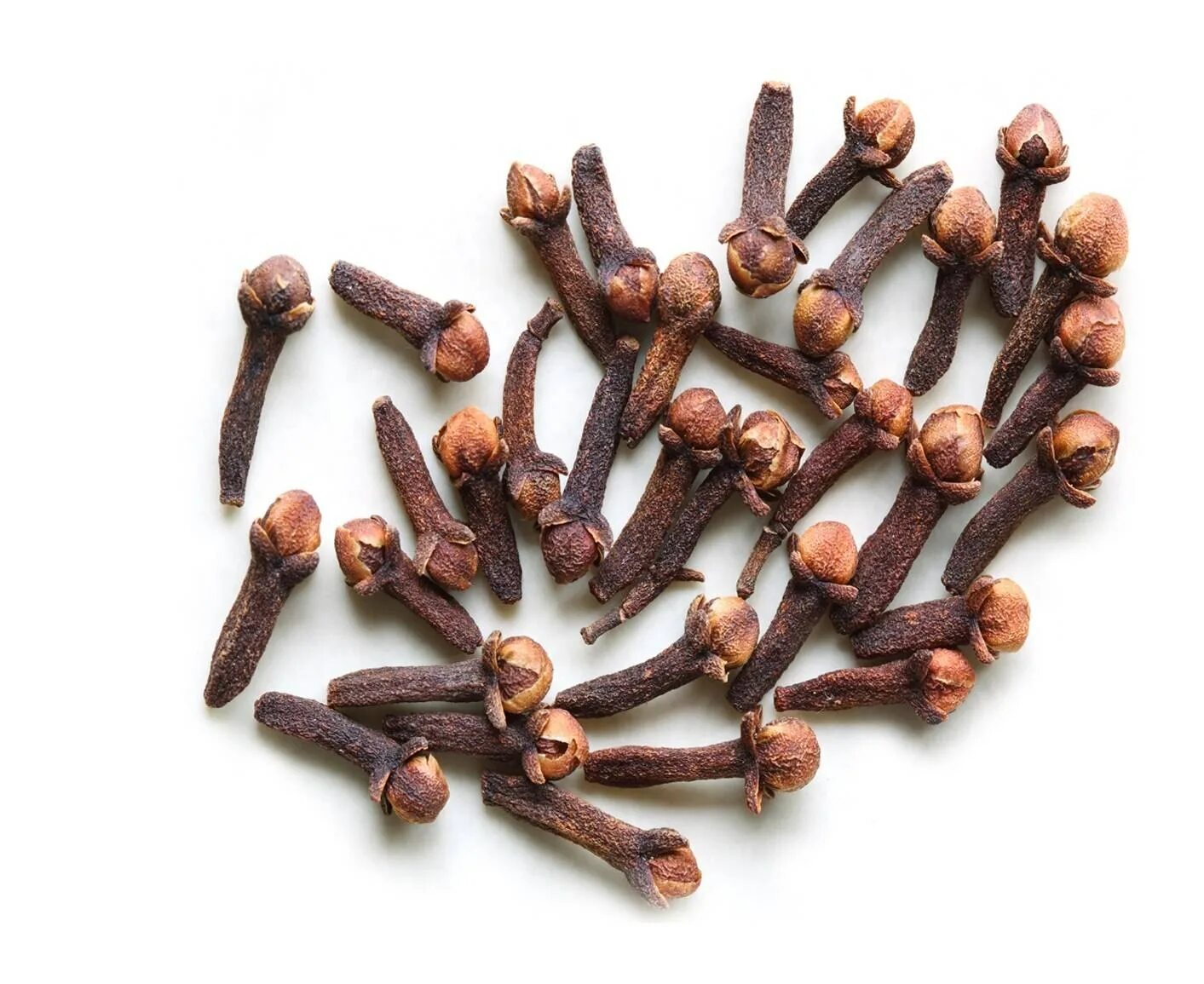 Цветы гвоздики приправа. Гвоздика семена гвоздичного дерева. Гвоздика ягода. Гвоздика семена приправа. Приправа гвоздика приправа гвоздика.