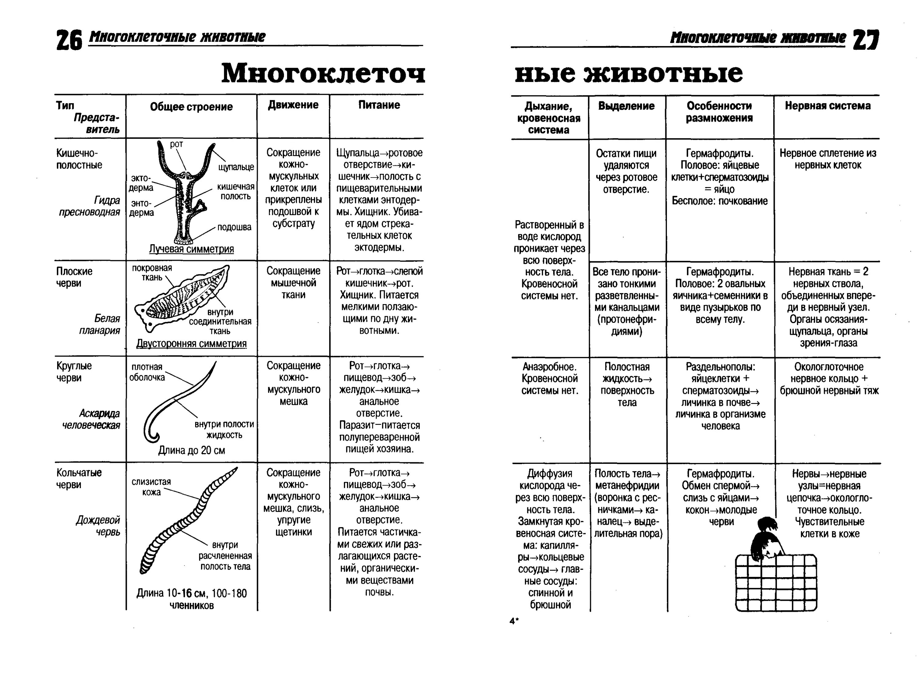 Эволюция систем органов позвоночных животных таблица по биологии. Сравнительная характеристика нервной системы беспозвоночных. Сравнительная таблица беспозвоночных биология 7 класс. Строение и функции пищеварительной системы таблица у животных.