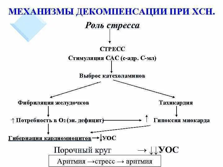 Механизмы декомпенсации сердечной недостаточности. Хроническая сердечная недостаточность механизм. Хроническая сердечная недостаточность патогенез. Механизм хронической сердечной недостаточности. Сердечная недостаточность схема