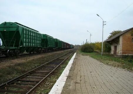 Погода в темижбеке ставропольского