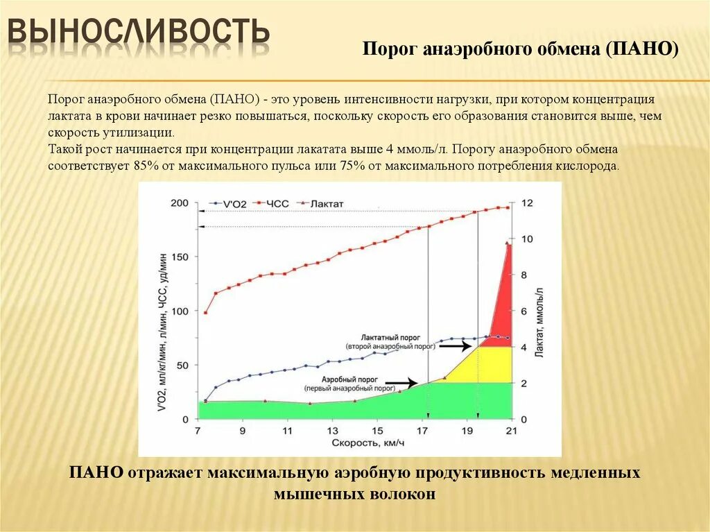 При физических нагрузках потребление кислорода