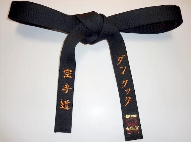 Каратист с черным поясом. Черный пояс карате. Черный пояс по карате. Пояса в каратэ jka. Черный пояс каратэ киокушинкай.