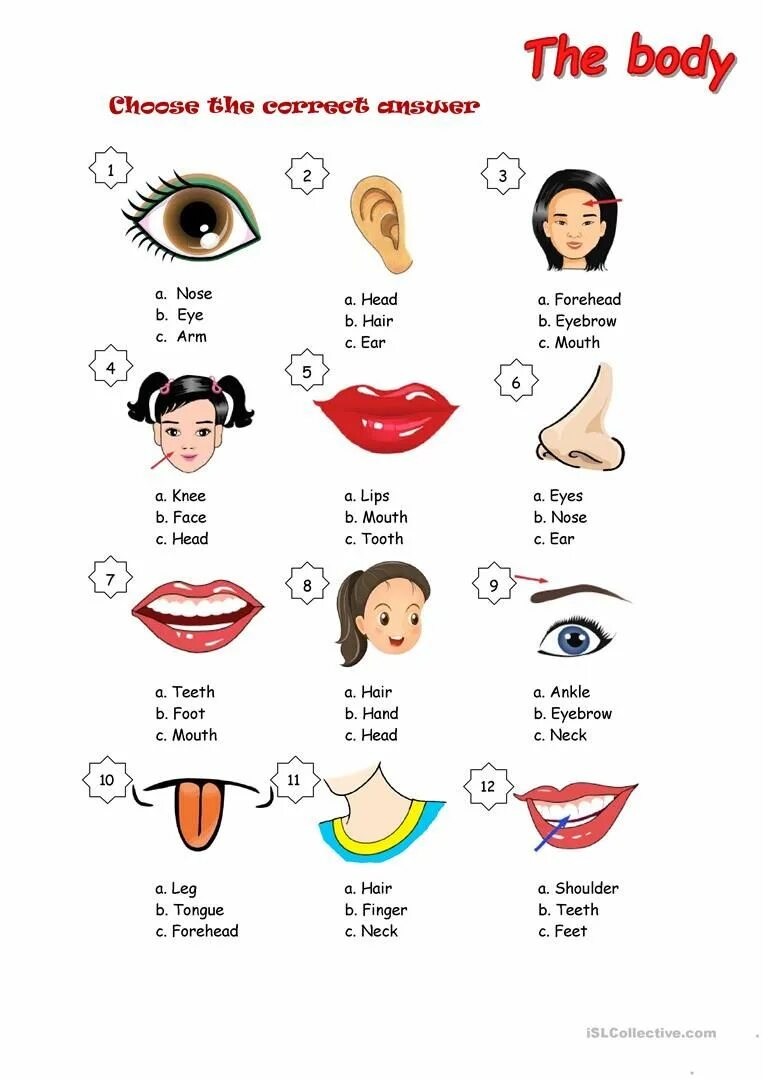 Eyes ears mouth nose