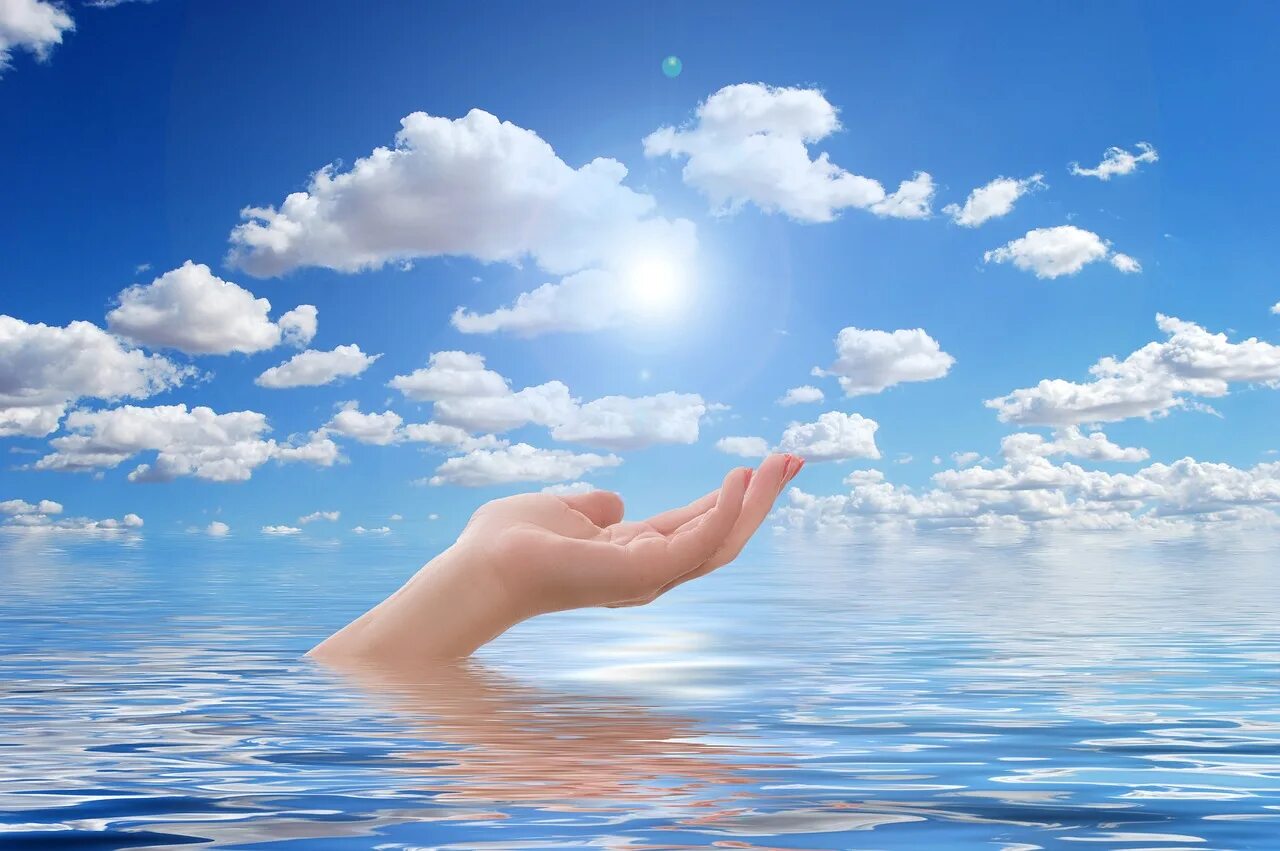 Помощь руки море солнце. Рука из моря. Пальцы на фоне моря. Гавайи держит ракушку. Рука из воды.