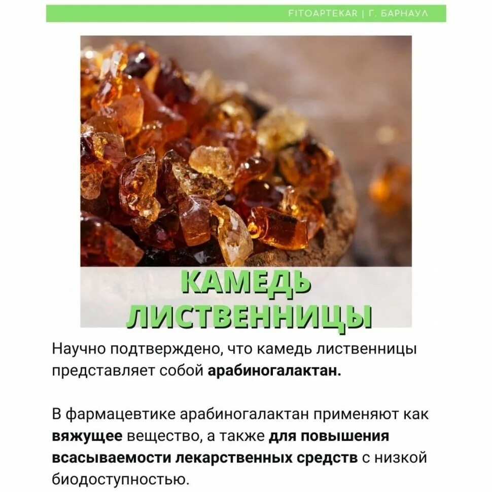 Смола акации гуммиарабик. Отвар лиственницы. Камедь сибирской лиственницы. Лиственничная камедь. Применение камеди лиственницы.