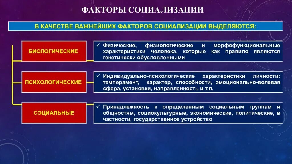 Социальные процессы. Составляющие процесса социализации. Социальные характеристики. Процесс социализации в школе.