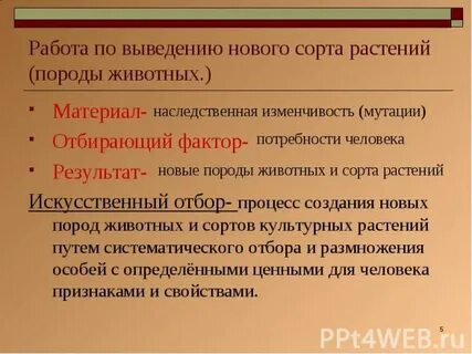 Хозяйственно ценные признаки