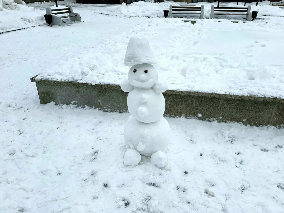 Иней пейзаж сибирь. Серебристый снег. Мороз воевода дозором. Зима выдалась снежная. Зима выдалась снежная.