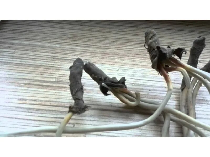 Провод плохо. Провод плохо. Провод плохо. Скрутка вводного провода. Скрутка кабеля ввг 2.