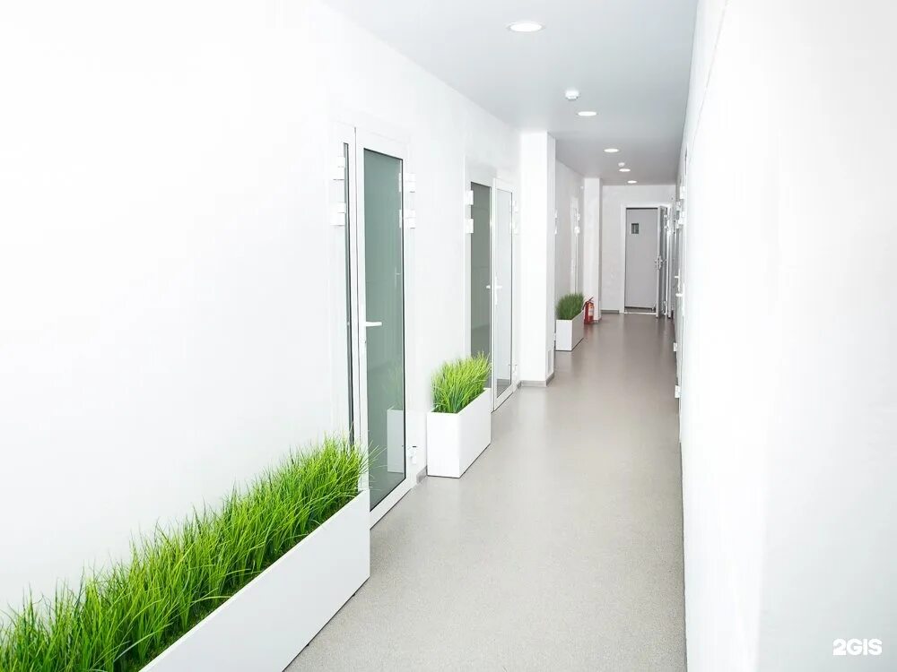 Гордеев дмитрий александрович челябинск. Сахар дентал челябинск. Сахар дентал челябинск. Сахар дентал челябинск. Sahar dental челябинск.