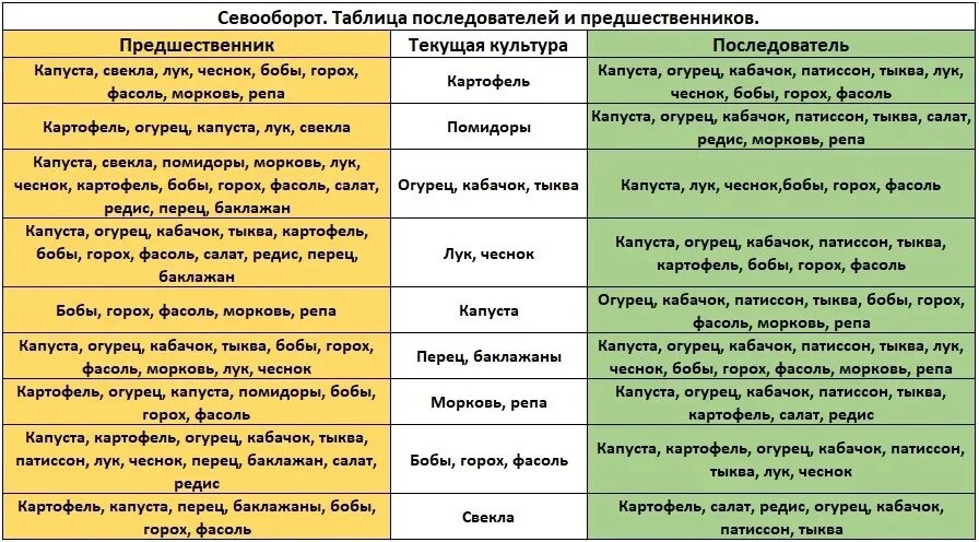 Капуста после картошки. Посадка овощей предшественники таблица. Лучшие предшественники для посадки овощей таблица. Таблица предшественников в севообороте. Севооборот овощей в огороде таблица.