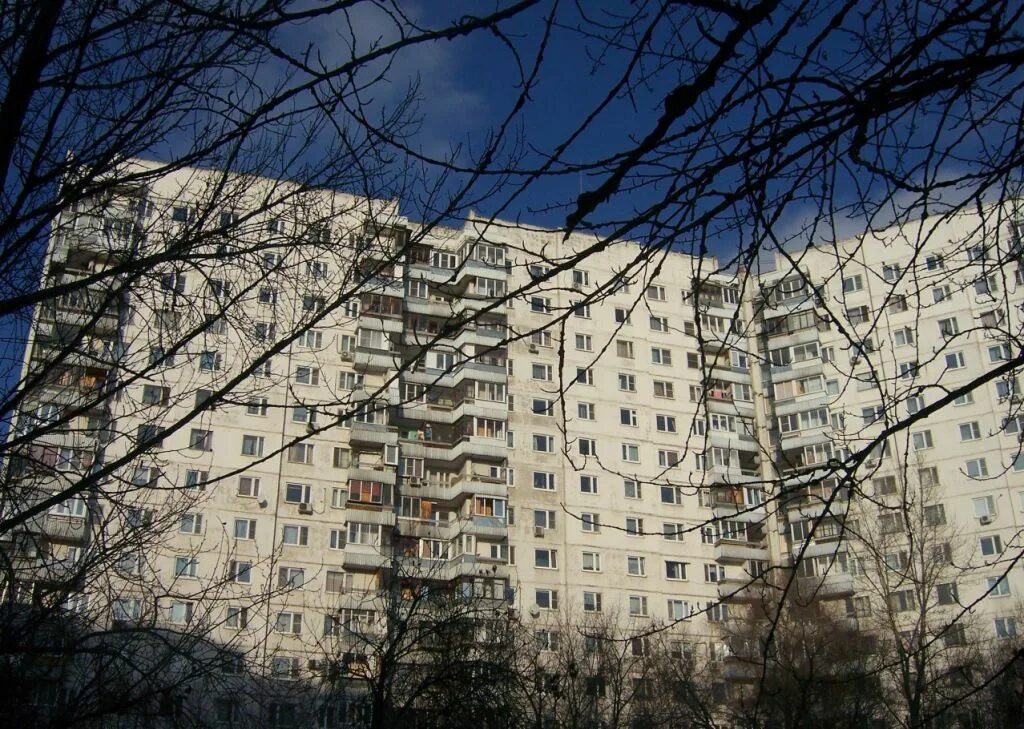 Плещеева 1 москва. Плещеева дом 30. Плещеева 16 Бибирево. Плещеева 9 Москва. Плещеева 24 Москва.