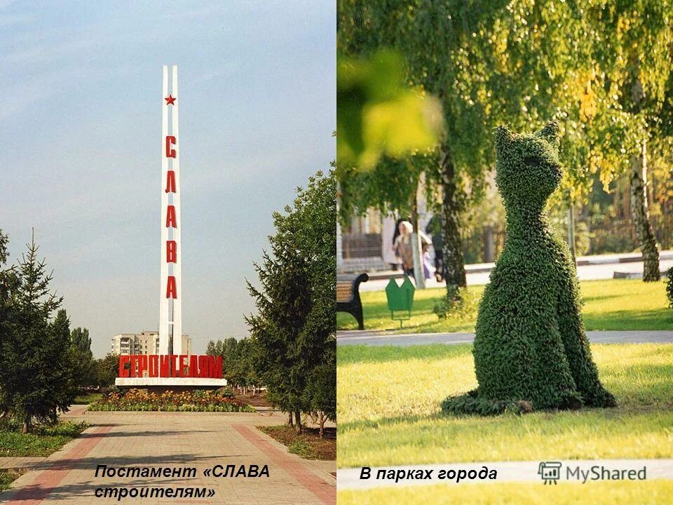 Ул королева губкин. Губкин ул белгородская 119. Губкинская детская больница. Оснащение эндоскопического кабинета. Вакансии губкин белгородской.