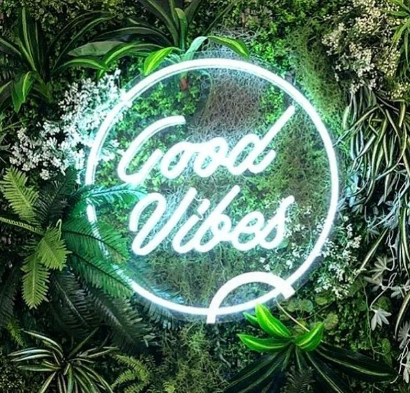 Неоновая вывеска good Vibes only. Good Vibes неон. Неоновая вывеска на траве. Неоновая вывеска Вайб.