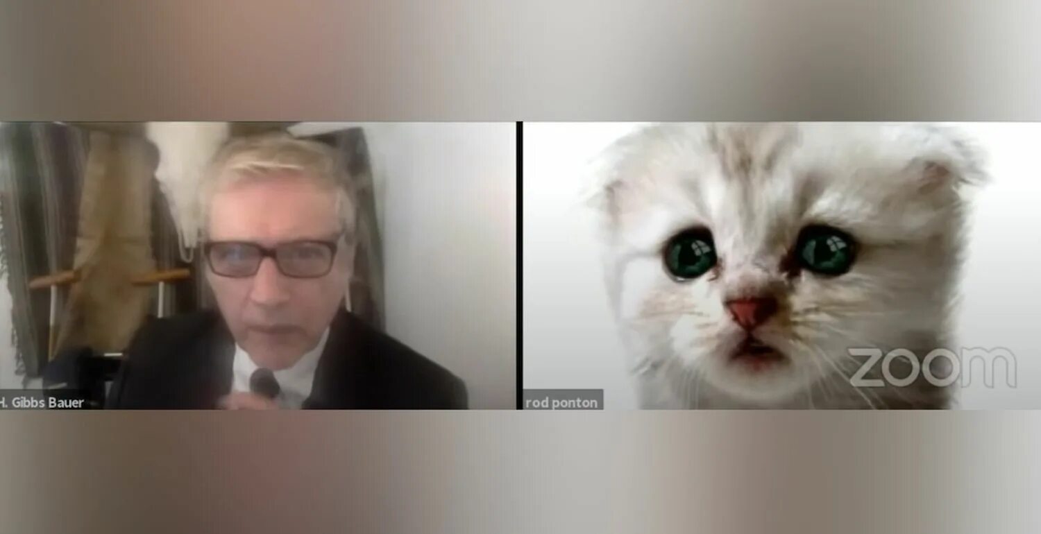 Even the cat