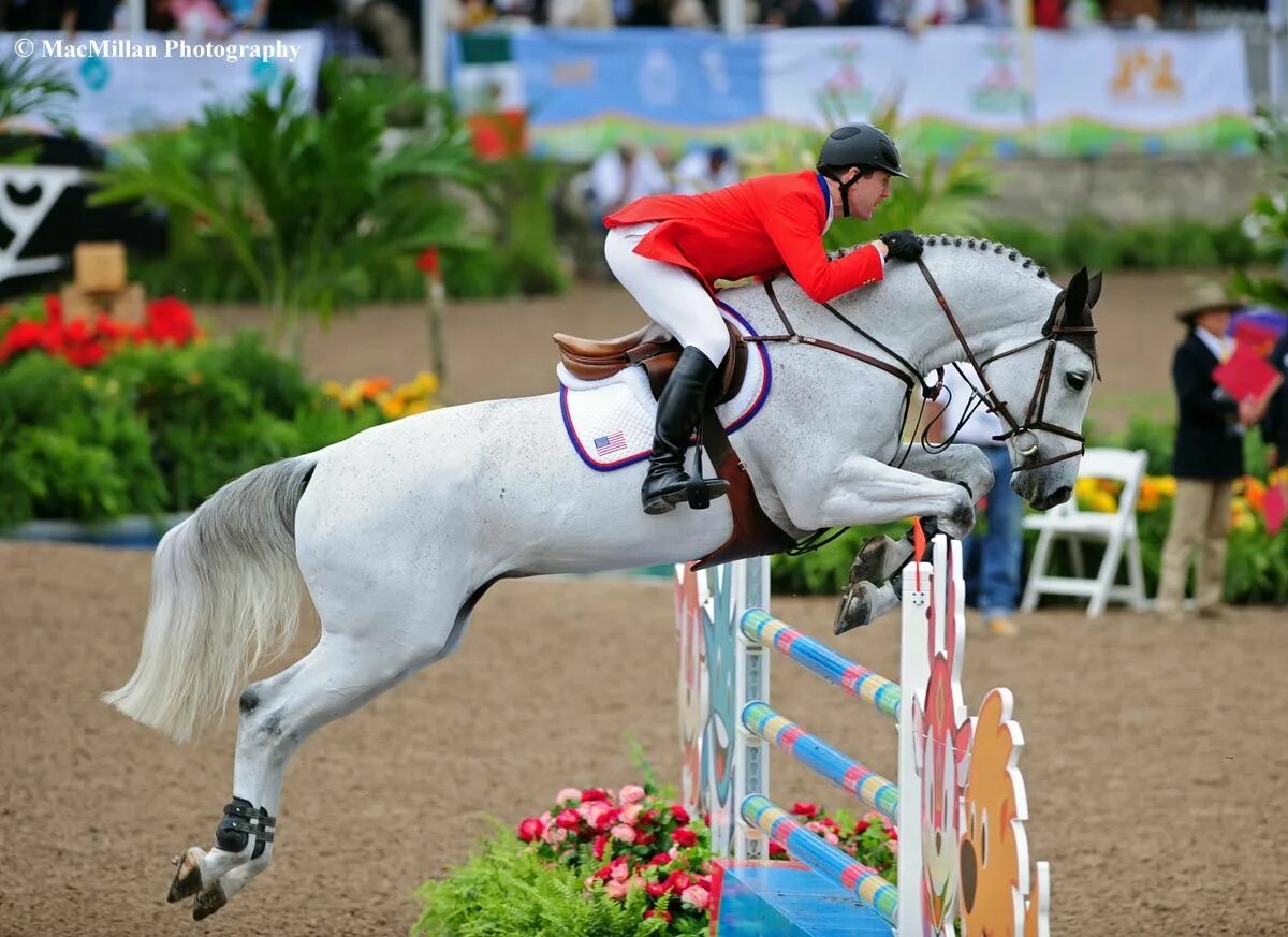 Конкур Иппик. Лошади брейер конкур. Липицианская лошадь конкур. Show jumping