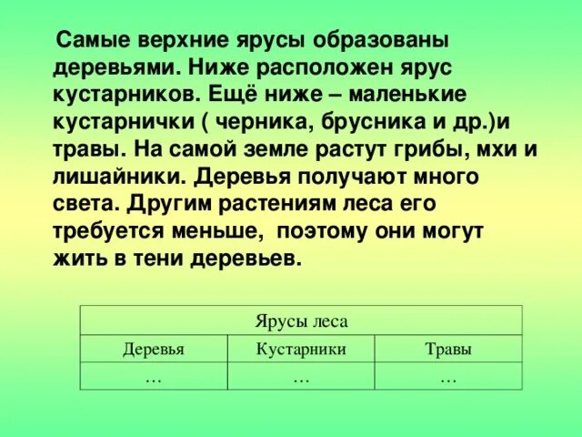 Под ярусом кустарников располагается ярус. Каким растениям в лесу необходимо меньше всего света. растения которым в лесу требуется больше всего света. каким растениям в лесу необходимо меньше всего света ответ. этот ярус расположен ниже яруса деревья ответ.