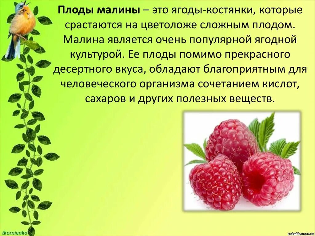 Является очень