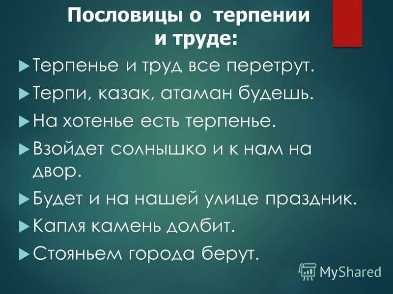 П терпи. Пословицы о терпении. Поговорки на тему терпение. Пословицы и поговорки о терпении и терпимости. Пословицы и поговорки о терпимости.