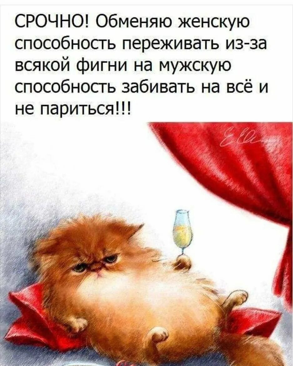 Позитивные высказывания для поднятия настроения. Картинки для поднятия настроения. Позитивные фразы для поднятия настроения. Позитивные фразы для поднятия настроения. Веселые цитаты.