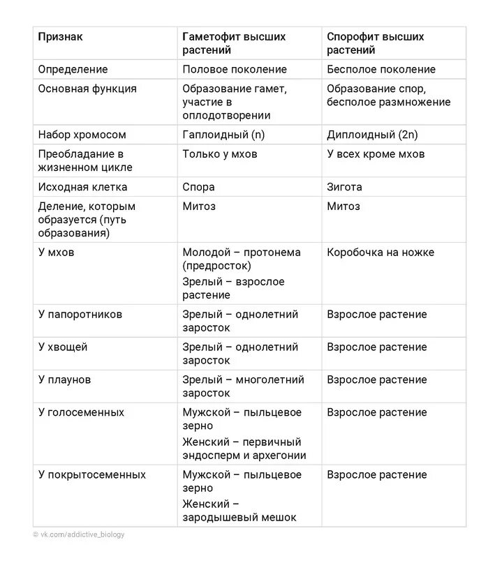 Чем представлен спорофит у водорослей. Гаметофит спорофит таблица. Отделы растений гаметофиты спорофиты. Таблица группы растений гаметофит и спорофит. Жизненные циклы растений гаметофит и спорофит.