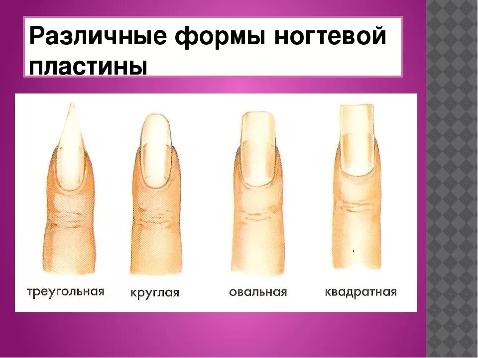 Отойти какой формы. Формы ногтей. типы ногтей. виды форм ногтей. треугольная форма ногтей.