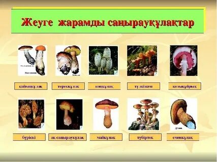 Көркем гимнастшылар жаттығу кезінде жалаңаш өнер көрсетеді.