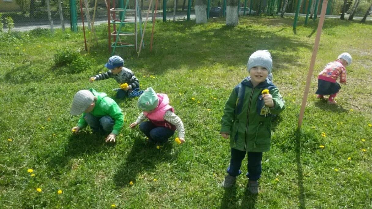 Игры в средней группе на прогулке весной. Дети на прогулке летом младшая группа. Прогулка наблюдение за травой 2 младшая. Наблюдение на прогулке первая младшая лето. Наблюдение за травой летом в младшей группе.