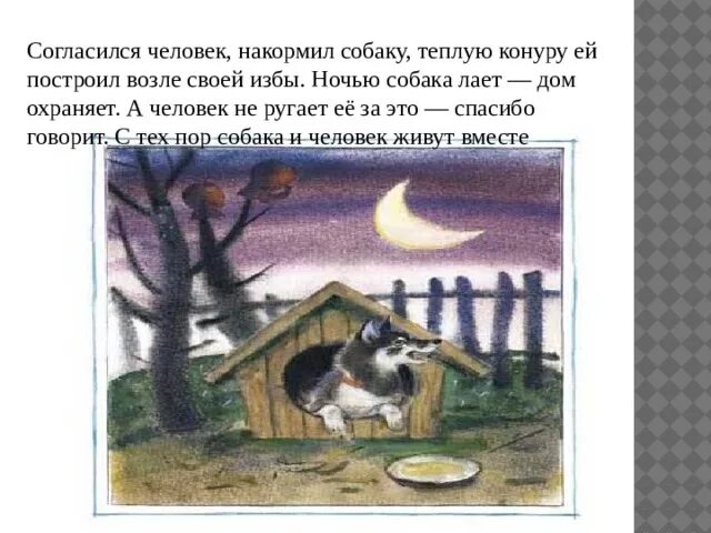 Ночь на дворе пес. Собака во дворе ночью. Собака воет. Собака во дворе ночью. Ночь на дворе пес.