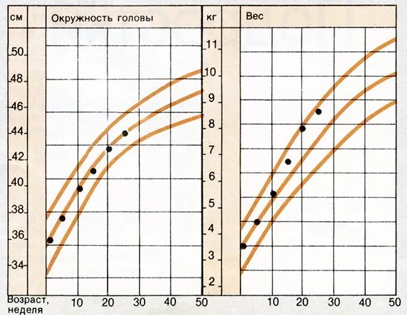 Прибавка окружности головы. Диаграмма роста окружности головы. Кривая прибавки веса. Диаграмма прибавки веса у новорожденных.