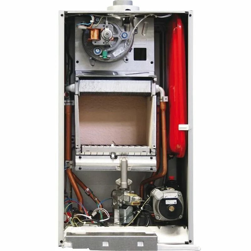 Баксис. Эсланадез-инсектицид. Крыса с книгой. Котёл baxi main 5 18 f. Инфинито фунгицид.