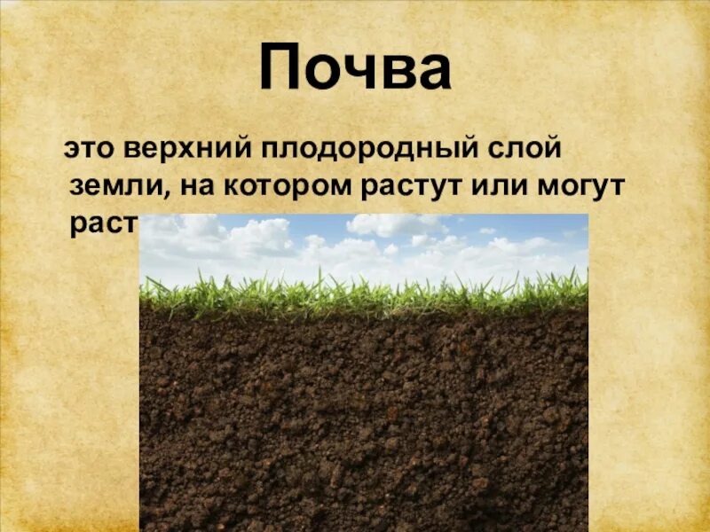 Земля в разрезе. Плодородный слой земли. Плодородная земля. Плодородный слой почвы. Плодородный слой почвы.