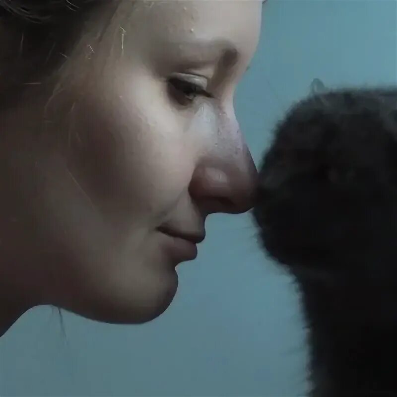 Net 122. Сетка в машину для собак. Fmb130 teltonika. Диван садовый белый. Топ баскетболистов.