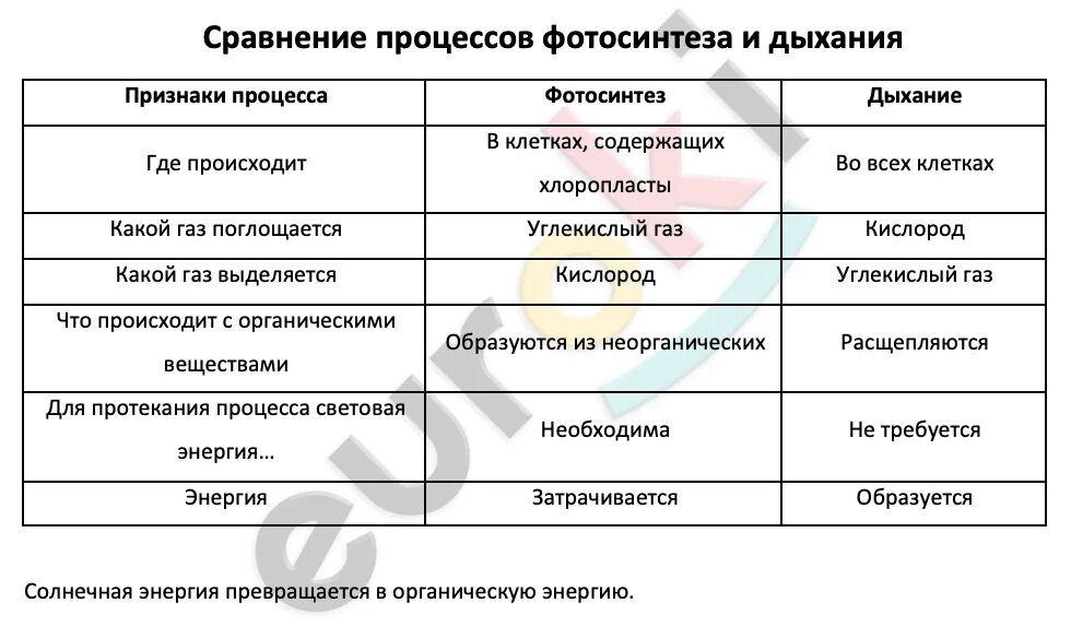 Заполни таблицу дыхание растений. Таблица по биологии 6 класс взаимосвязь дыхания и фотосинтеза. Таблица по биологии 6 класс признаки сравнения фотосинтез дыхание. Таблица сравнение процессов фотосинтеза и дыхания. Таблица по биологии фотосинтез и дыхание.