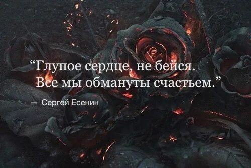 Глупое сердце. Глупое сердце не бейся. Глупое сердце не бейся Есенин. Цитаты про глупое сердце. Песня глупое сердце