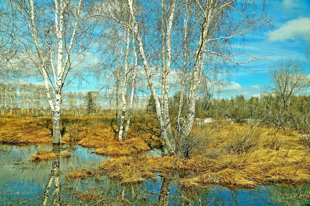 Весенний пейзаж. Апрель фото природы красивые