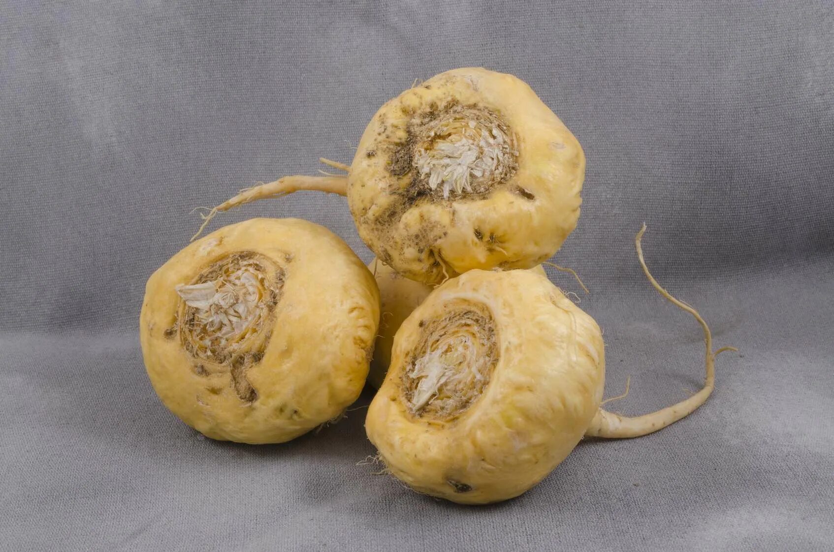 Lepidium meyenii. Maca powder. Ma ka. Ma ka. Мака перуанская фото.