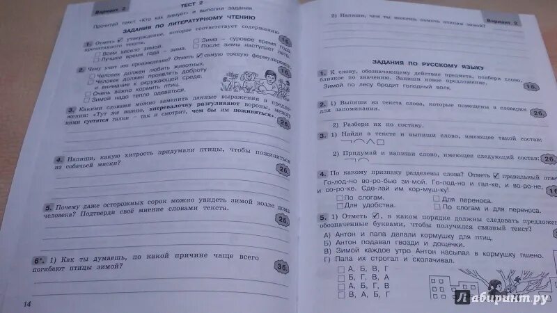 Вариант 21 работа с текстом 3 класс. Комплексная работа по русскому языку 4 варианта. Интегрированные задания по русскому языку. Комплексная 3 класс. Комплексная работа 3 класс русский язык.