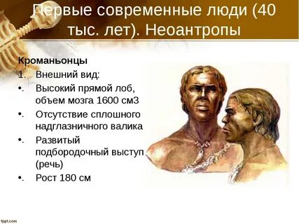 Особенности строения и образ жизни неоантропы