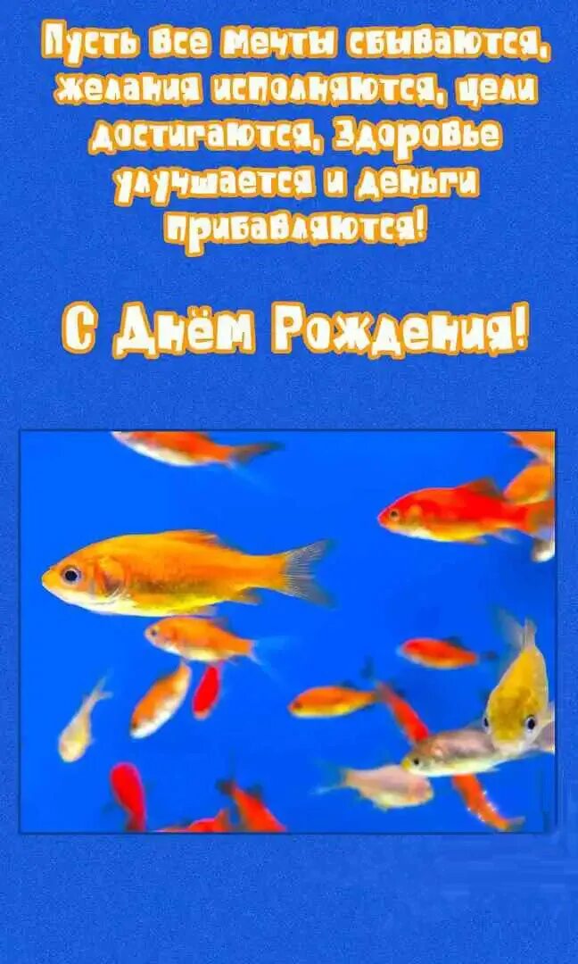 Рыба поздравление с днем рождения. Открытка с днём рождения с рыбой. Золотая рыбка поздравление с днем рождения. Рыба поздравление с днем рождения. Поздравления рыбка с днем рождения.