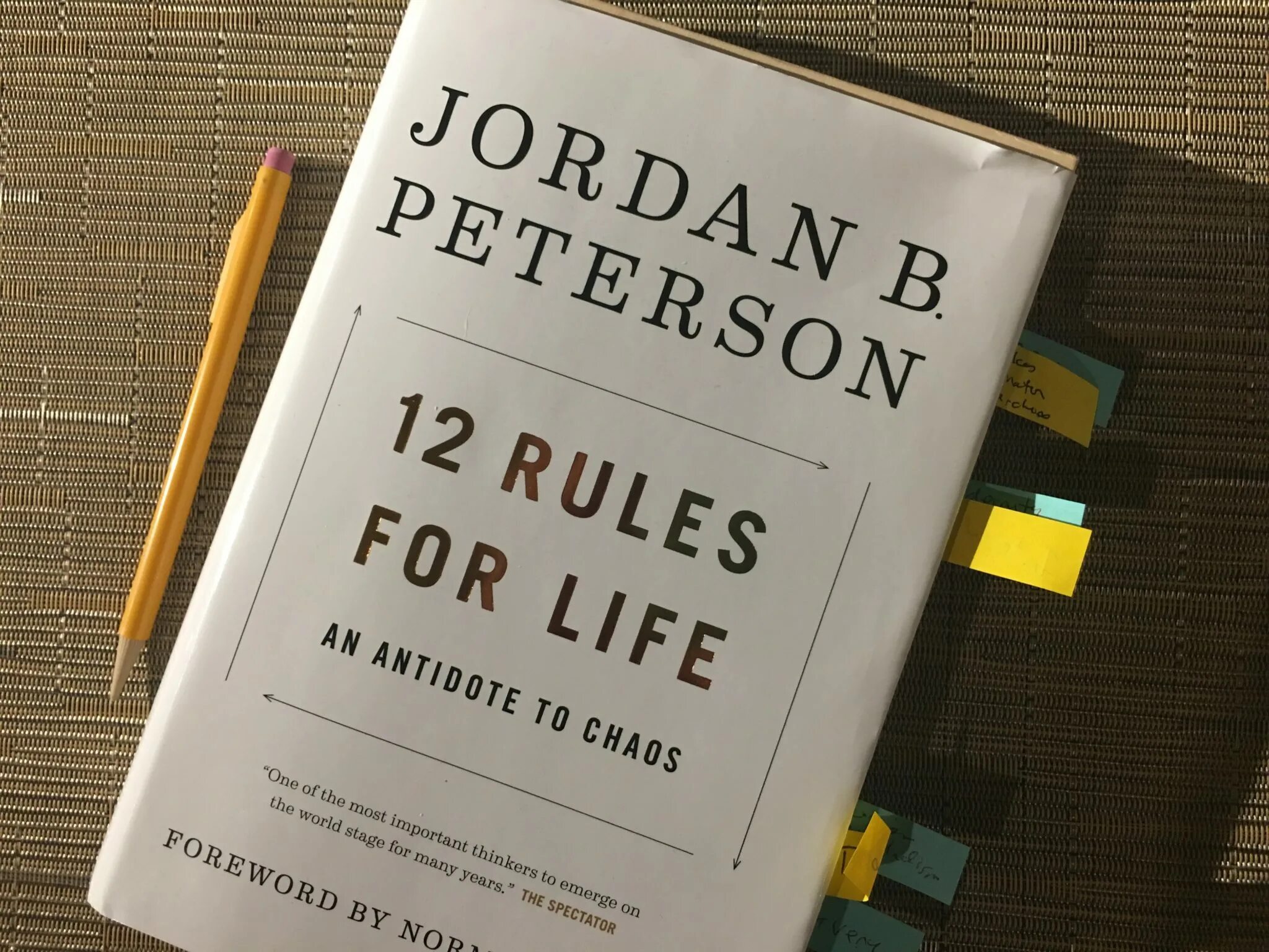 12 правил жизни джордана питерсона книга