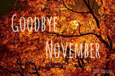 November the second