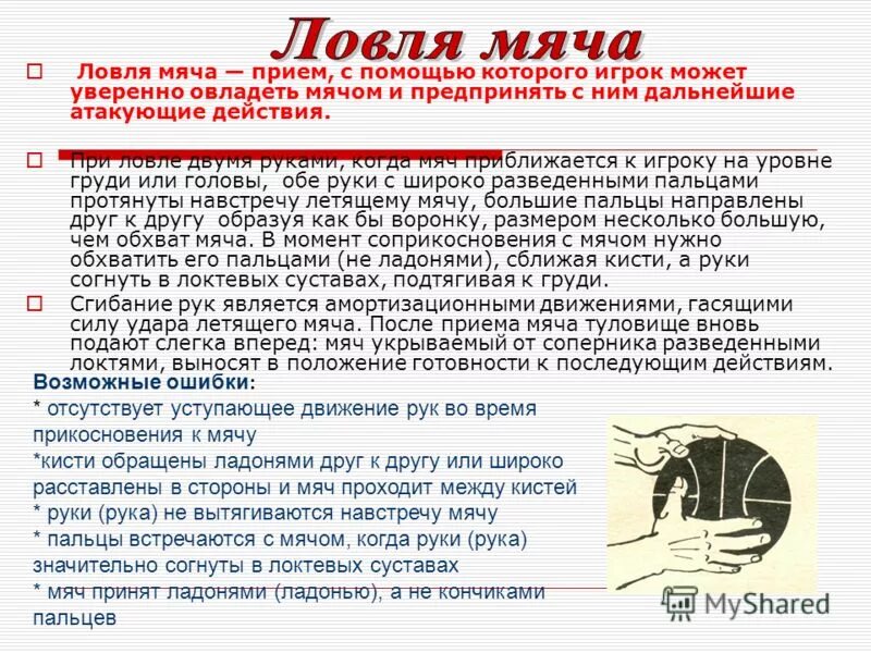 в каком спорте запрещено ловить мяч. спортивные игры с мячом названия. в каком спорте запрещено ловить мяч. описание ловли мяча в гандболе. ловля мяча при игре в лапту.