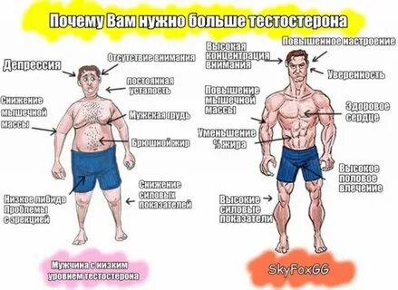 Почему мужчины нижней