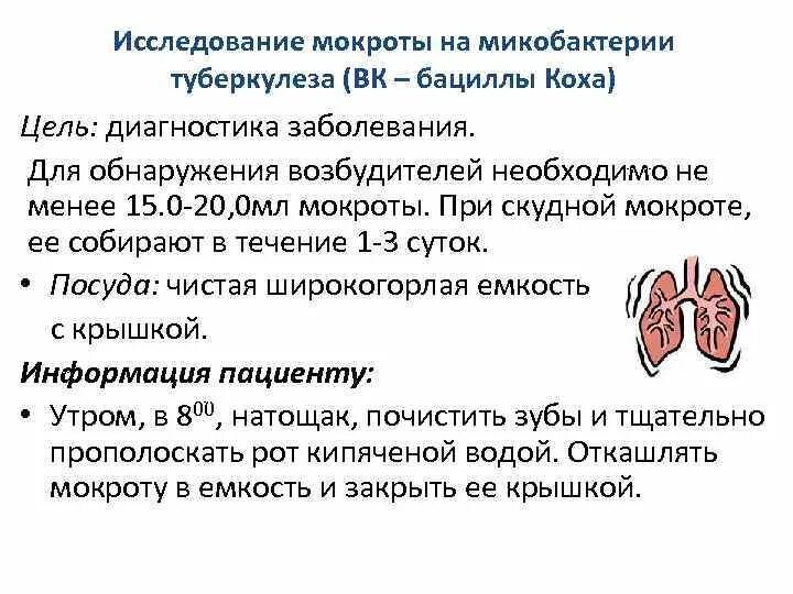 Анализ мокроты на вк. Исследование мокроты на микобактерии туберкулеза. Анализ мокроты на туберкулез цель. Мокроту на исследование на микобактерии туберкулеза собирают. Анализ мокроты на наличие микобактерий туберкулёза..