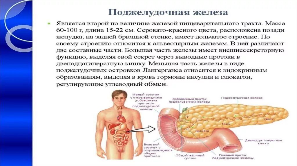 Заболевания поджелудочной железы симптомы и признаки. Признаки проблем с поджелудочной. Проблемы болезни поджелудочной железы. Поджелудочной железы симптомы болезни.