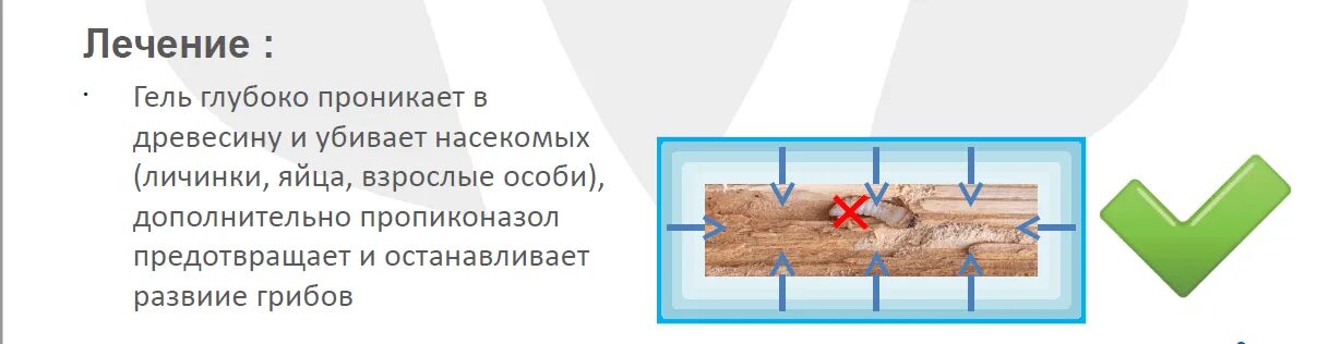 Плесень умирает. Споры плесени при какой температуре гибнут. При какой температуре погибает плесень. Плесень погибает при температуре. При какой температуре гибнет грибок.