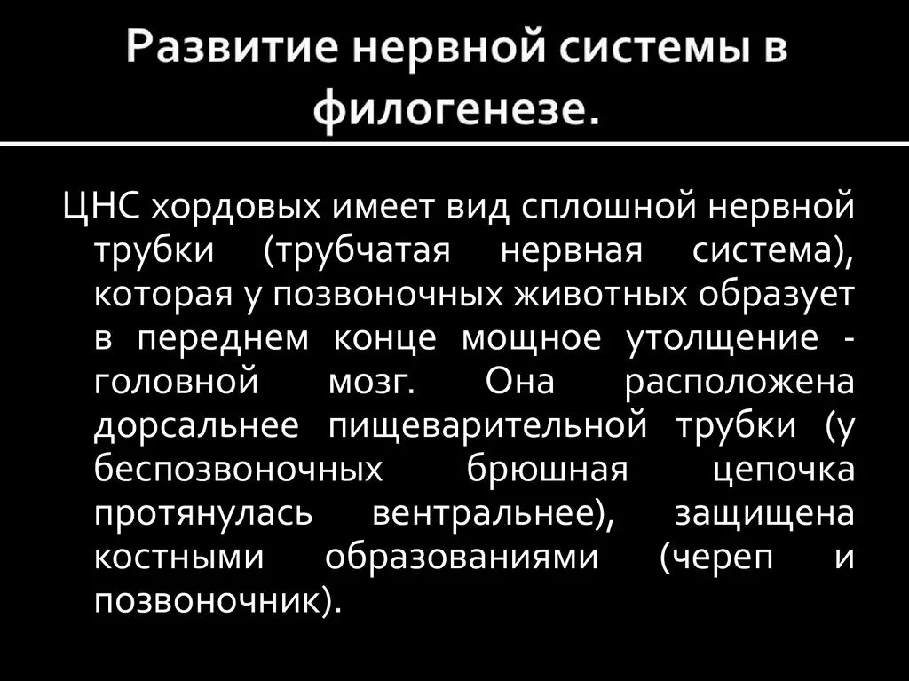 Филогенез органов. Филогенез нервной системы. Понятие филогенез. Филогенез эндокринной системы. Филогенез нервной системы кратко.