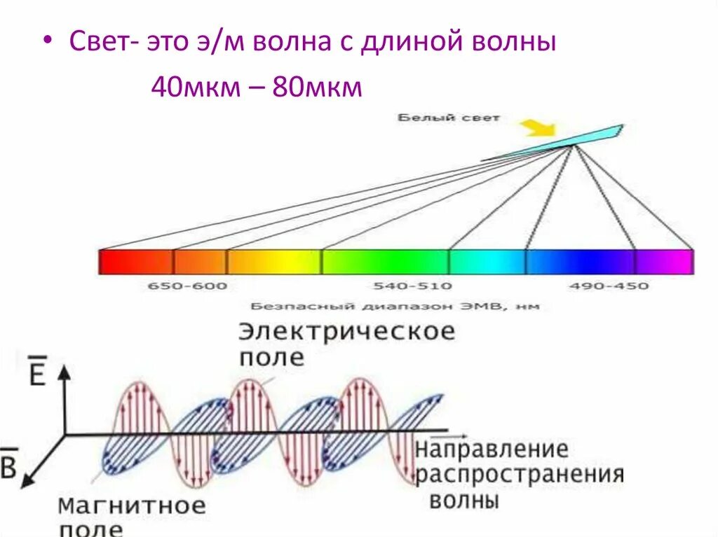 Из каких частей состоит волна