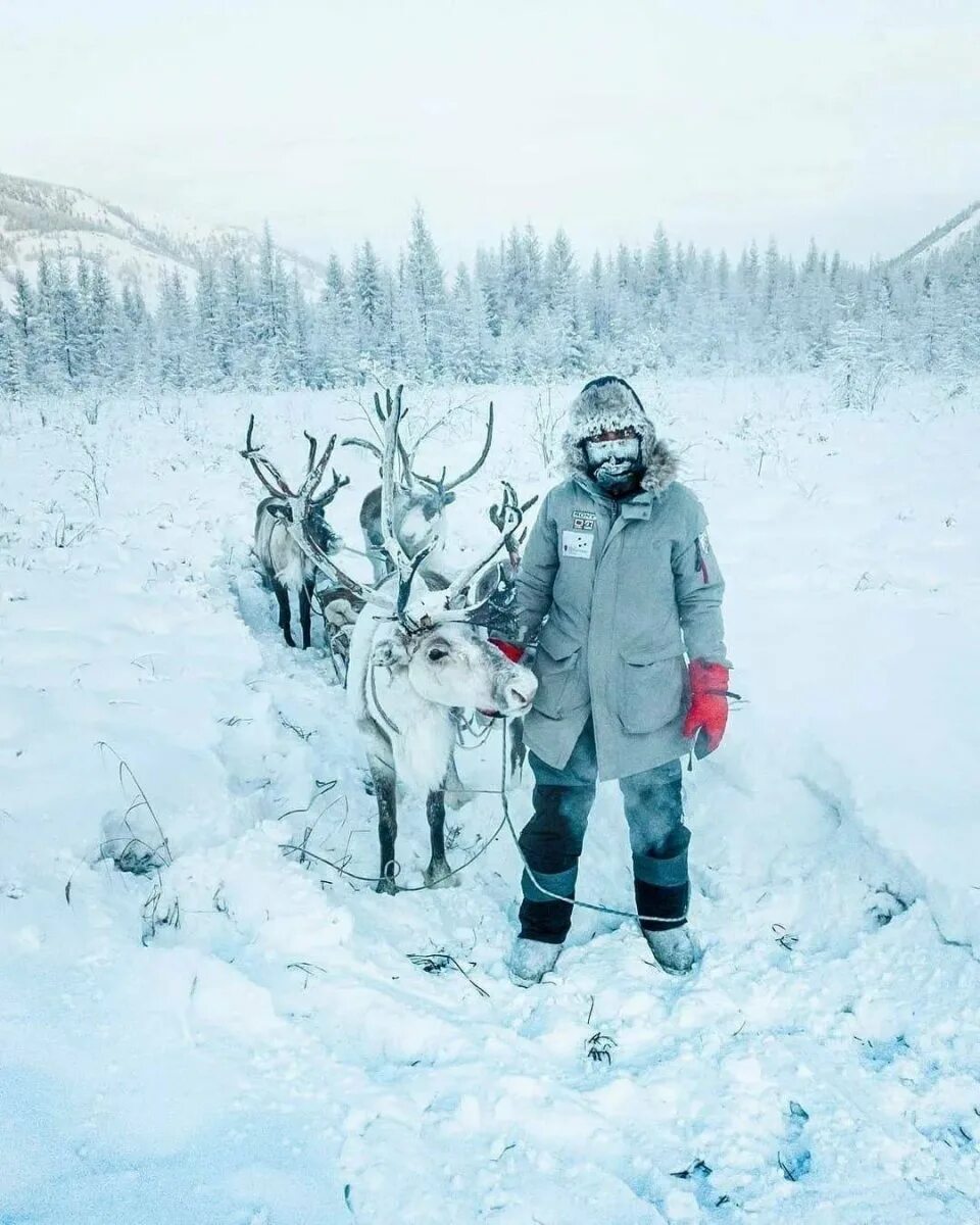 Оймякон, Якутия. Оймякон полюс холода. Оймякон Томтор. Оймякон -70.